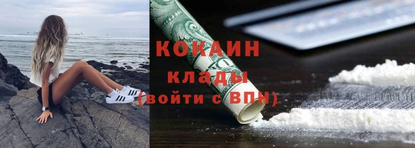 крисы Абаза