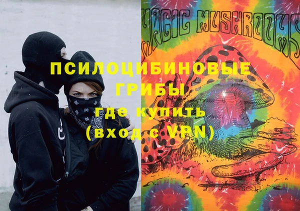 крисы Абаза