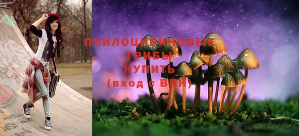 крисы Абаза