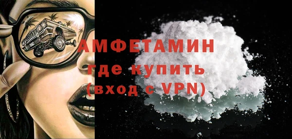 крисы Абаза