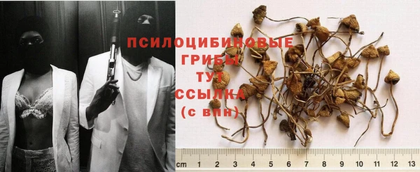 гашик Абинск