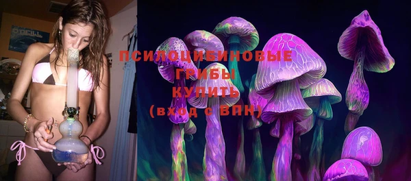 гашик Абинск